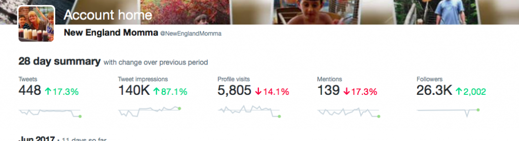 My 28 day Twitter Analytics - Make Money Tweeting 