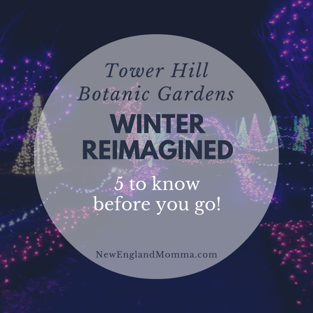 Looking for a fun night out with family or friends? Winter Reimagined at Tower Hill Botanic Garden in Bolyston, MA is a wonderful seasonal activity!