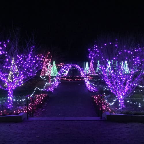 Looking for a fun night out with family or friends? Winter Reimagined at Tower Hill Botanic Garden in Bolyston, MA is a wonderful seasonal activity!