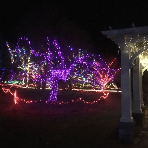 Looking for a fun night out with family or friends? Winter Reimagined at Tower Hill Botanic Garden in Bolyston, MA is a wonderful seasonal activity!